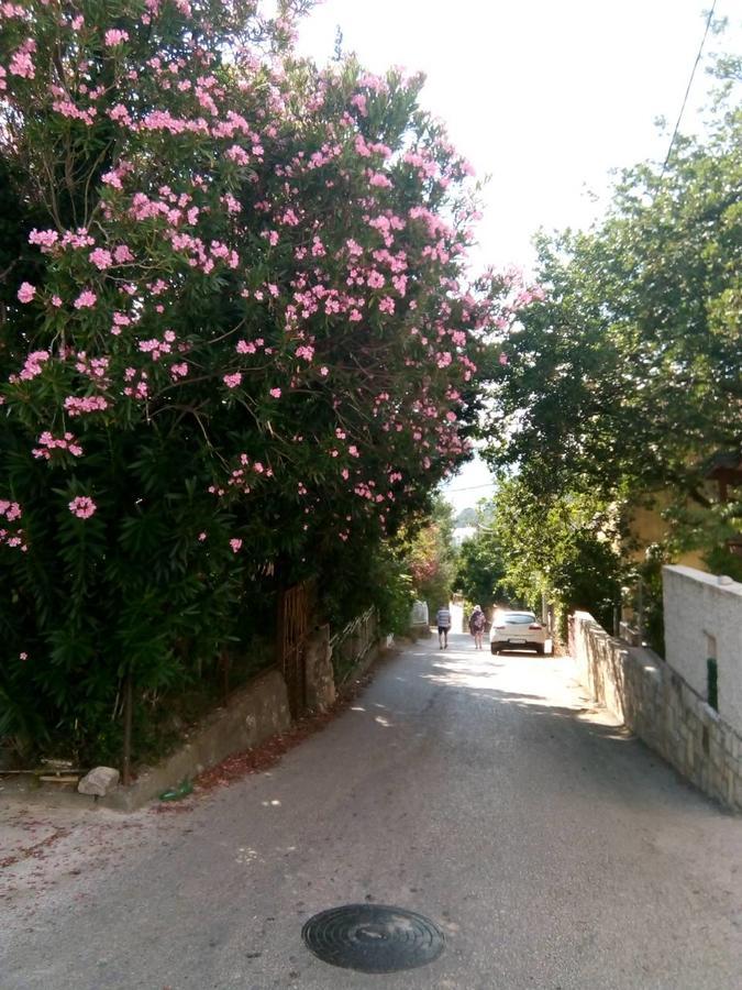 Apartmani Ceca 012 Sutomore Bagian luar foto